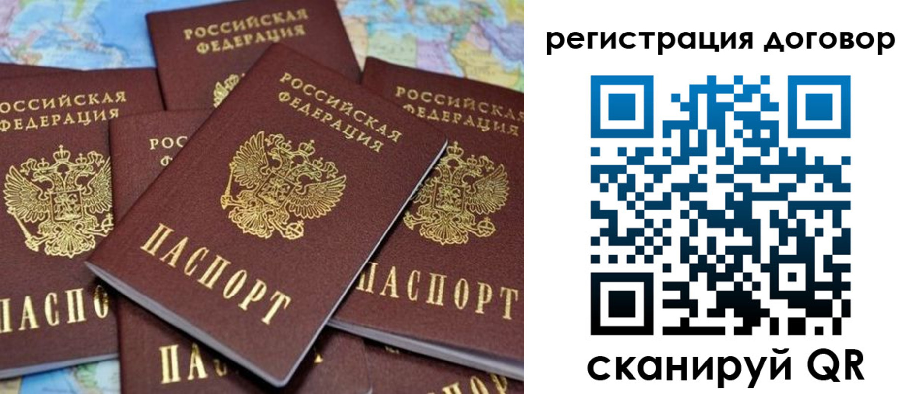 прописка гарантия в Чехове